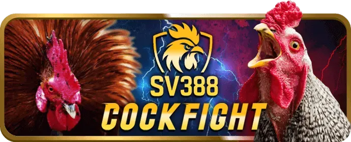 Chính sách bảo mật 27go99